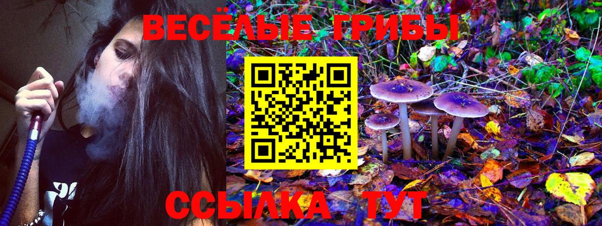 Псилоцибиновые грибы MAGIC MUSHROOMS Волгоград