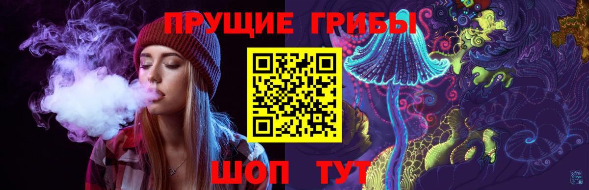 Волгоград  Галлюциногенные грибы MAGIC MUSHROOMS  Вход с VPN 